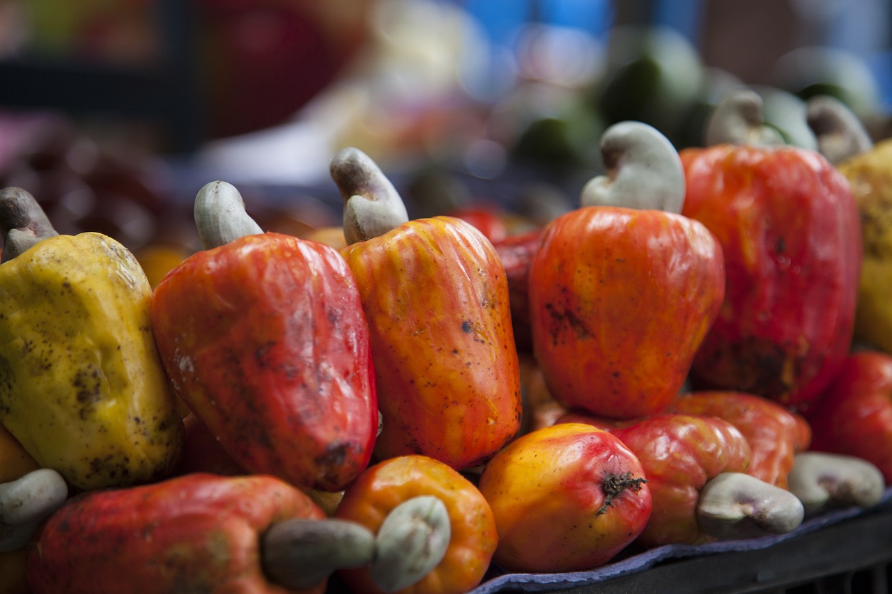 カシューナッツの歴史